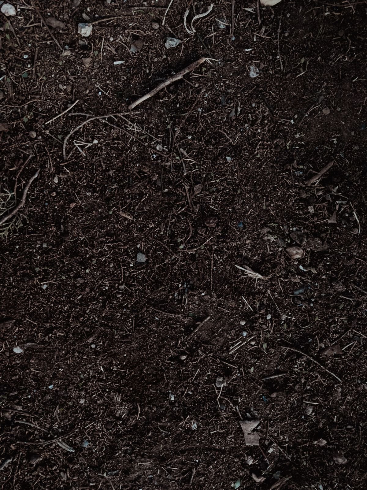 Texture de terreau