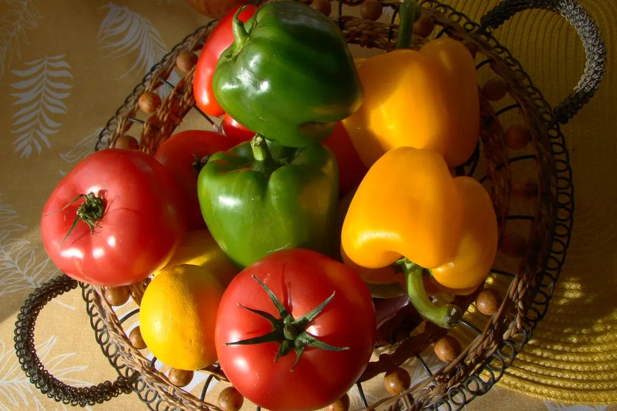 Panier de poivrons et de tomates fraîchement récoltés