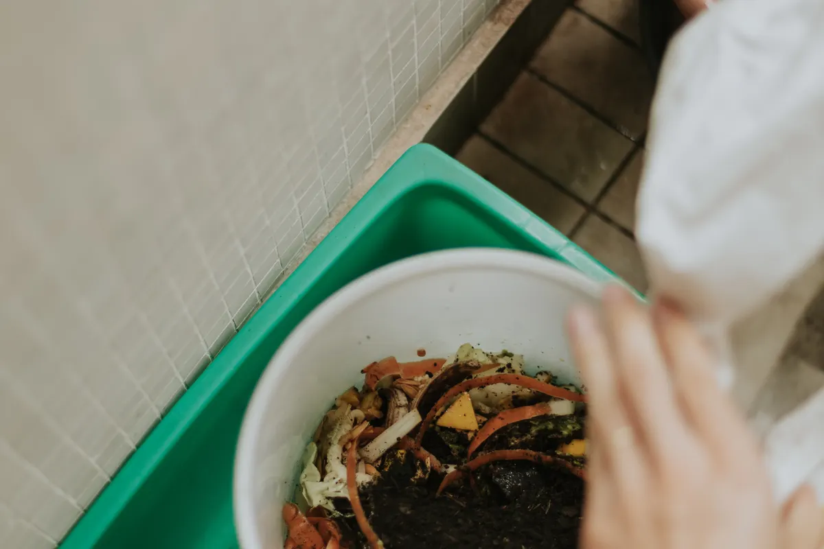 Seau de collecte rempli d'épluchures de légumes posé dans un bac vert