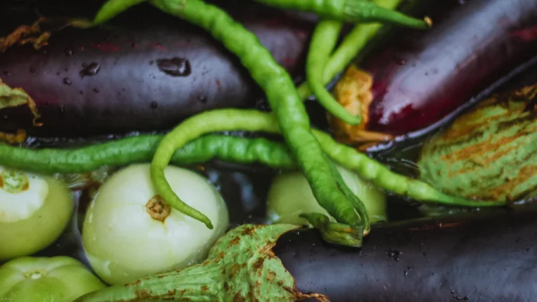 Top 10 des légumes qui résistent vraiment à l&rsquo;été méditerranéen en bac