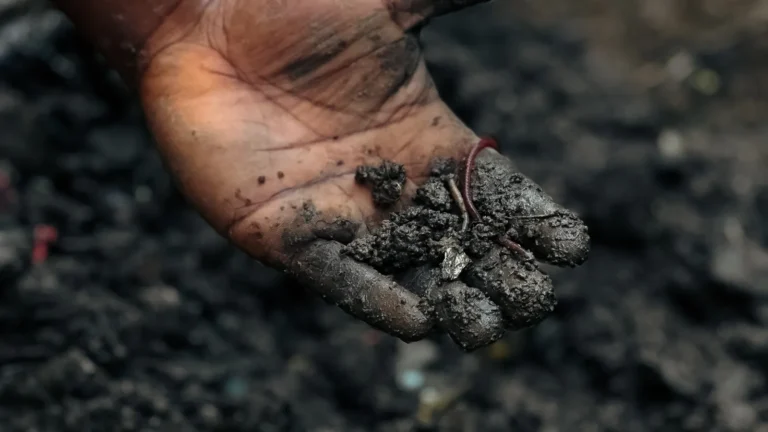 Compost sur balcon : 4 méthodes sans odeur ni moucherons