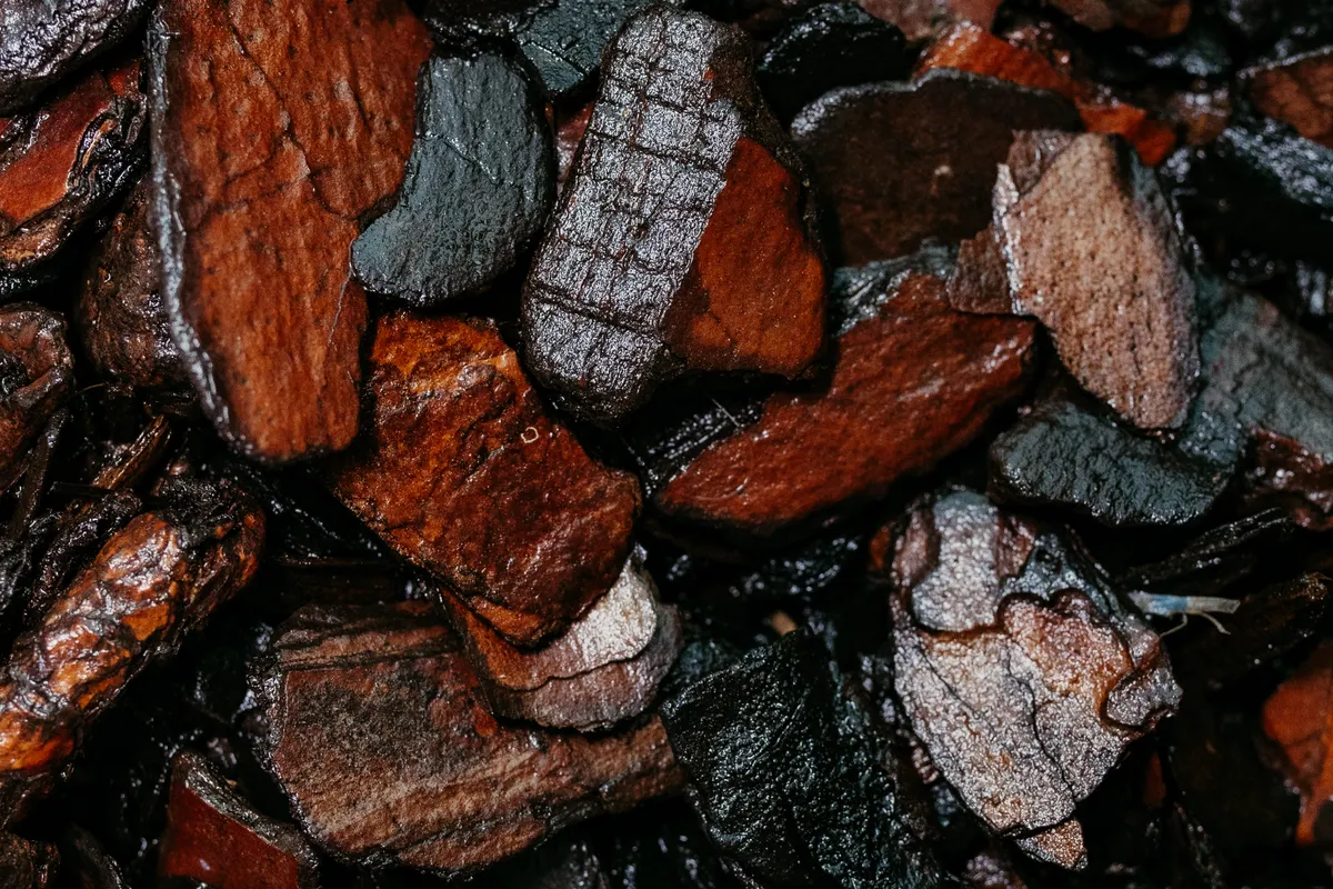 Copeaux d'écorce en gros plan, tons chauds