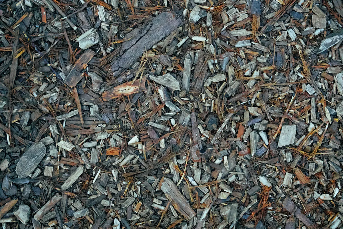 Copeaux de bois étalés au sol