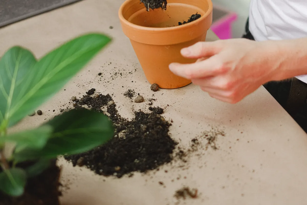 Substrat drainant préparé à la truelle au-dessus d'un pot de jardinage