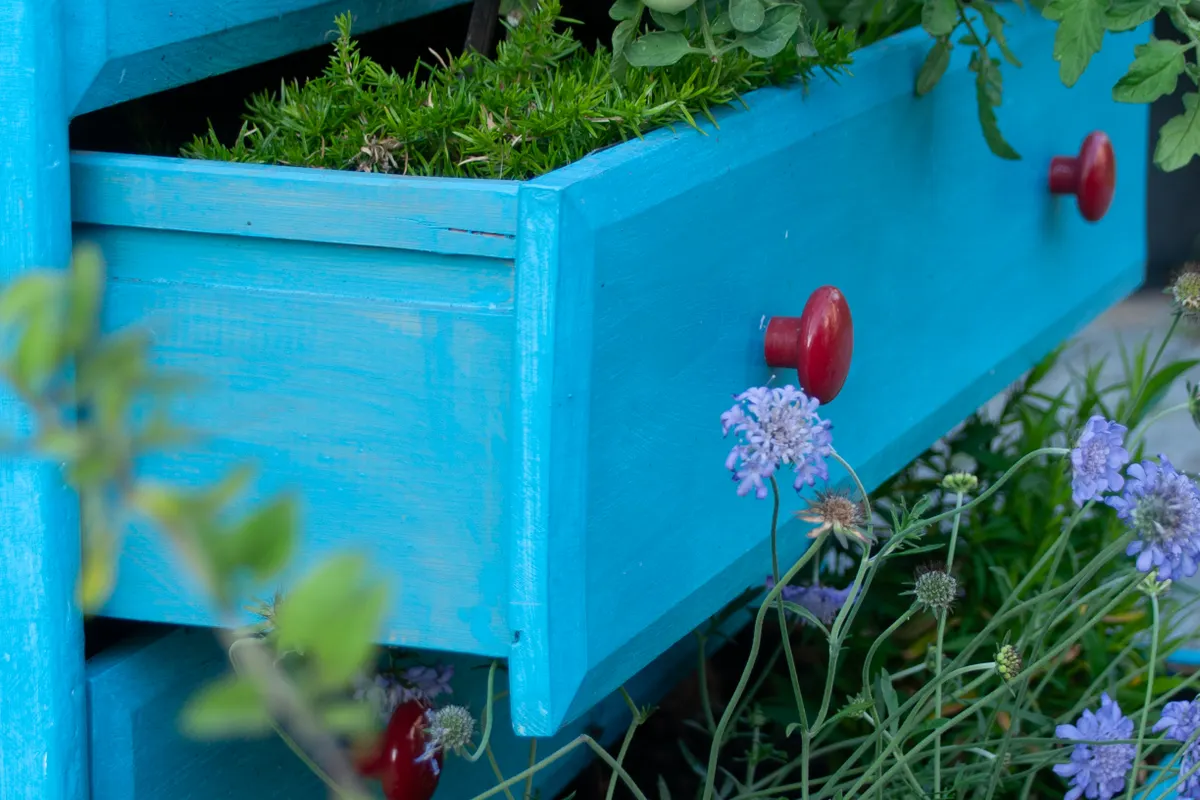 Jardinière en bois plantée de tomates encore vertes et de fleurs