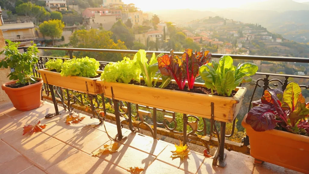 Que planter en octobre sur un balcon : 9 cultures incontournables en climat méditerranéen