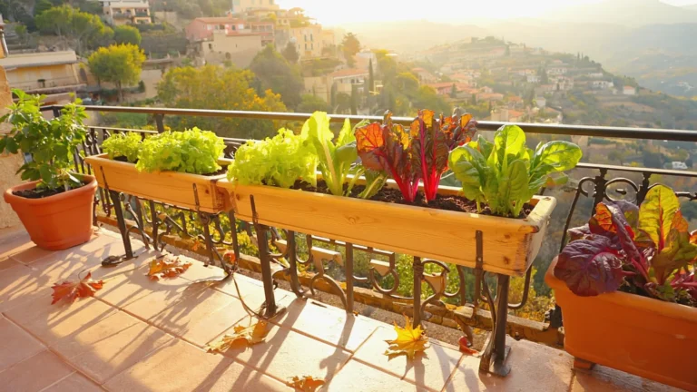 Que planter en octobre sur un balcon : 9 cultures incontournables en climat méditerranéen